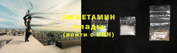 винт Лагань