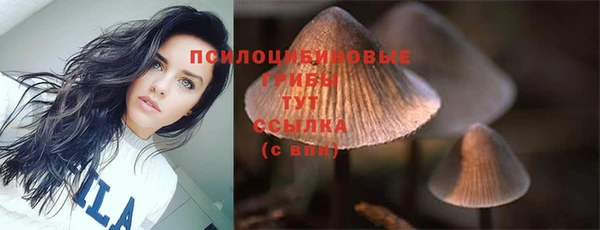 винт Лагань