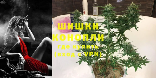 винт Лагань