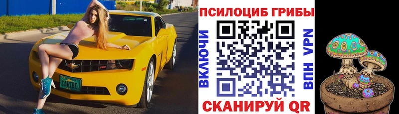 Псилоцибиновые грибы ЛСД  Игарка 